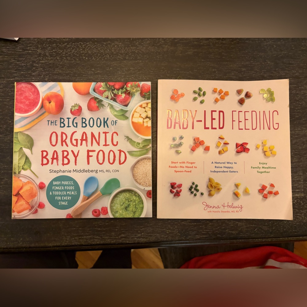 The Big Book of Organic Baby Food and Baby-Led Feeding Books